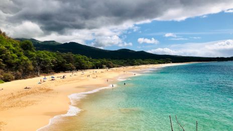 A pristine beach with golden sand and crystal-clear turquoise water, surrounded by lush greenery and backed by cloudy skies.