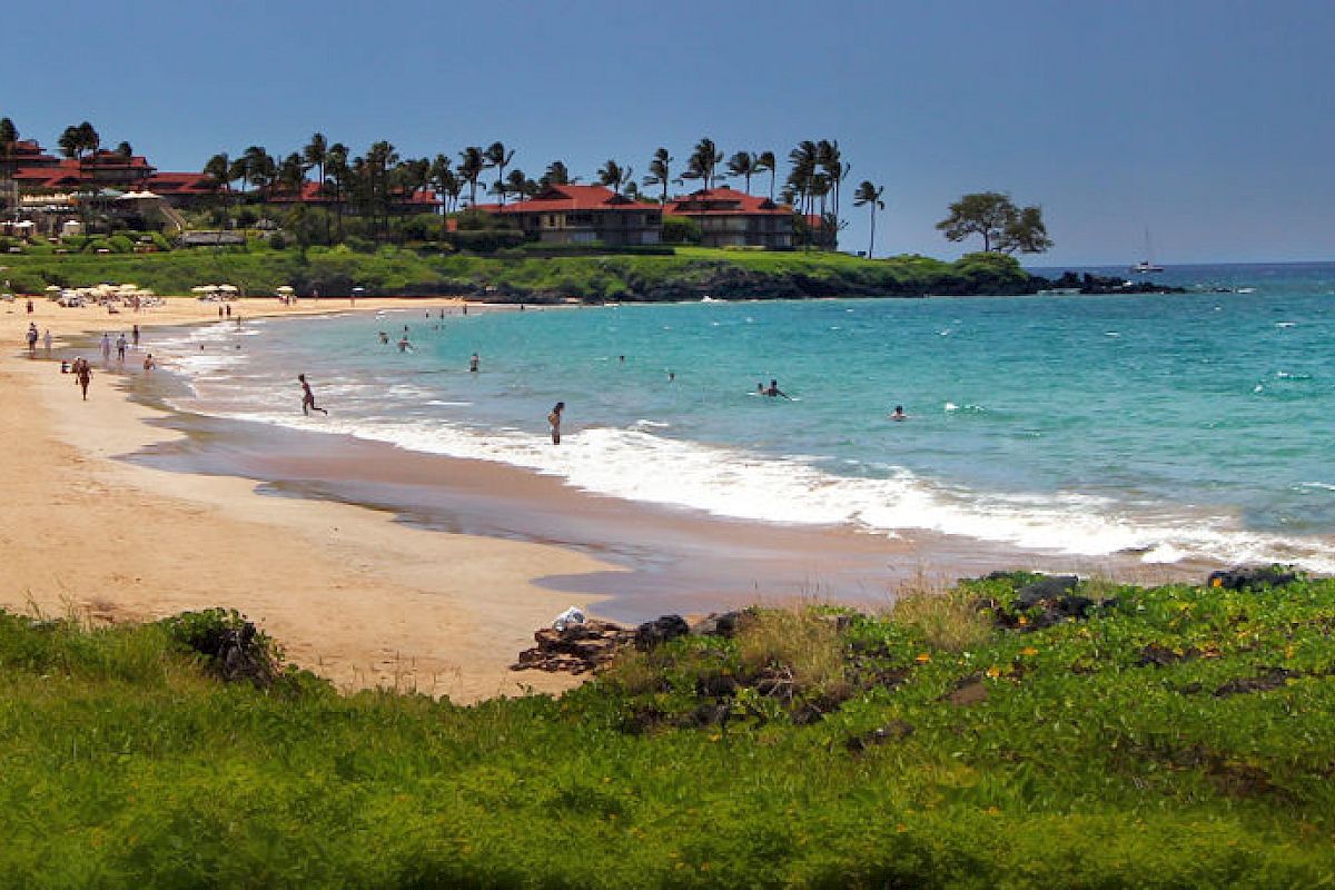 A sandy beach with people, umbrellas, and lush greenery. In the background, there are buildings and palm trees. The ocean is teal and serene.