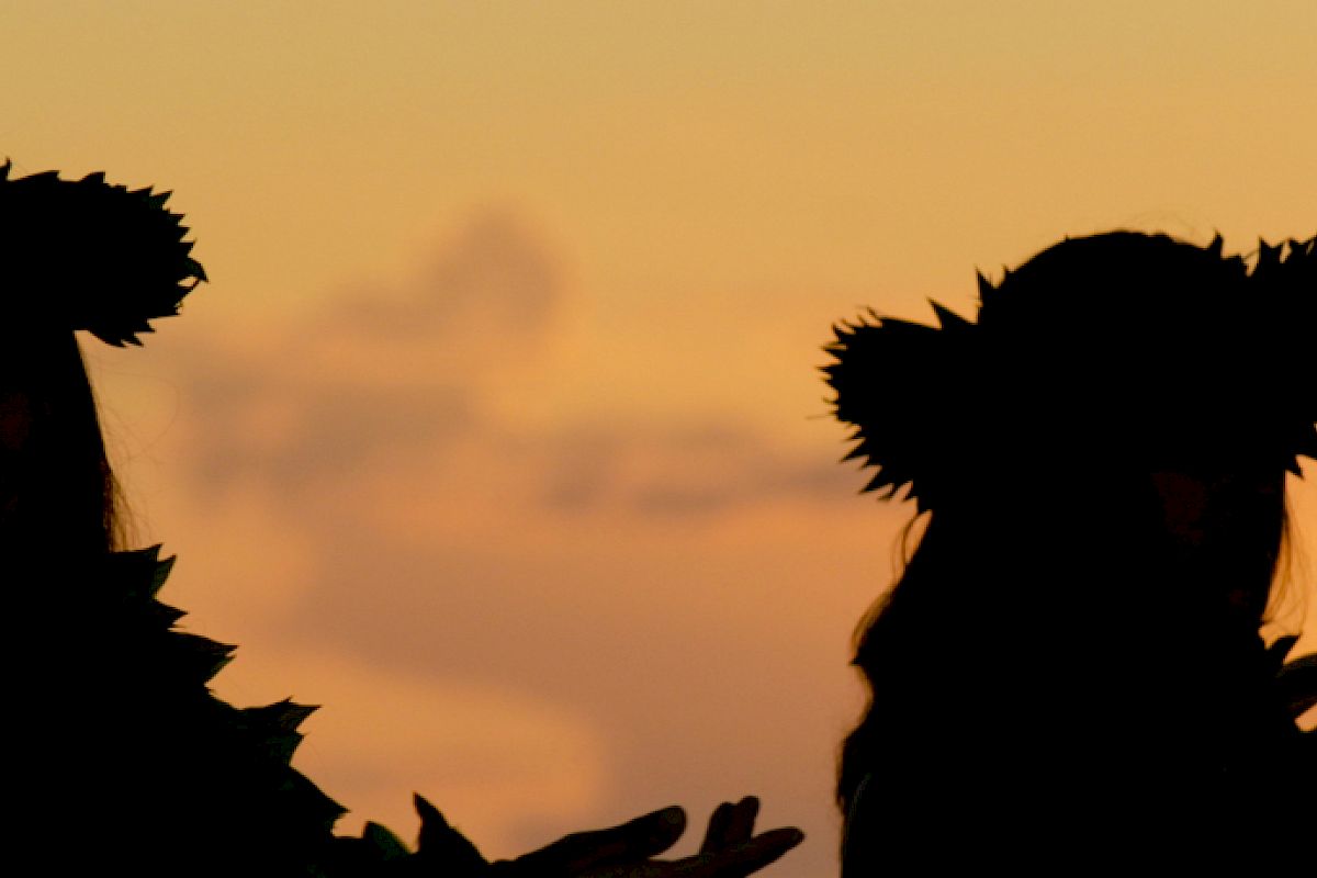 Silhouettes of two people wearing headpieces and possibly performing a traditional dance at sunset, against an orange sky.