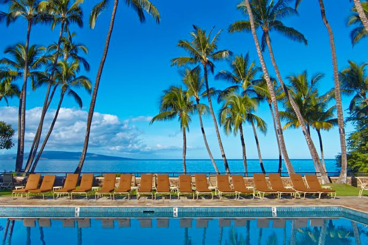 A serene tropical resort scene with a pool, numerous lounge chairs, tall palm trees, and the ocean in the background under a bright blue sky.