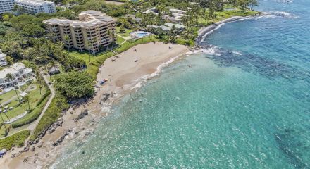 Coraltree Residence Collection