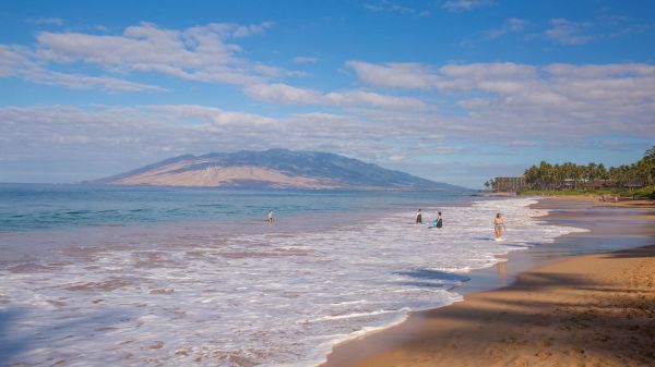 People enjoy a sunny beach with gentle waves, sandy shore, palm trees in the distance, and a hazy island/landform on the horizon.
