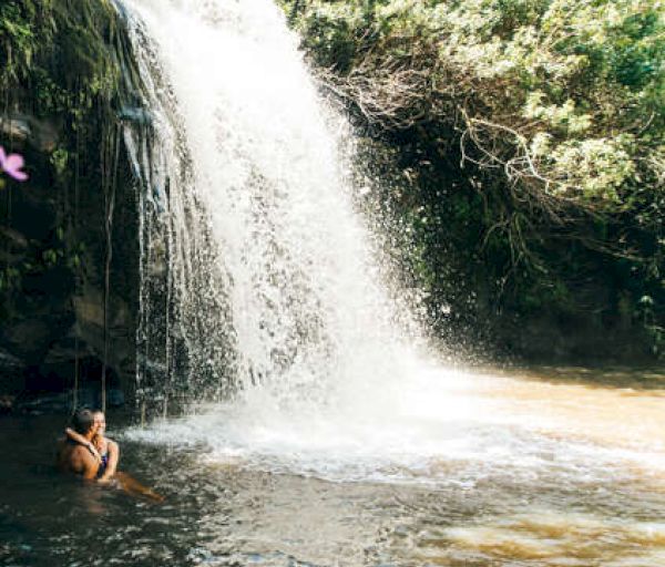 A waterfall cascades into a pool where a person sits on a swing, surrounded by greenery.