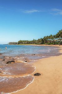 A beautiful beach scene with golden sand, clear water, palm trees, and people enjoying the sun and surf on a sunny day.