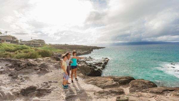 Coraltree Residence Collection