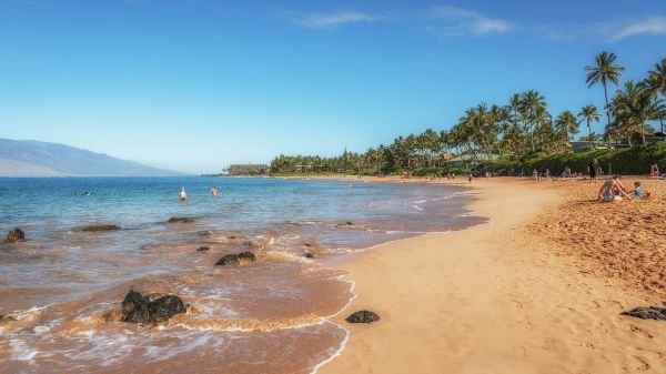 The image shows a sunny beach with gentle waves, palm trees, and people enjoying the sand and water. It's a tropical scene.