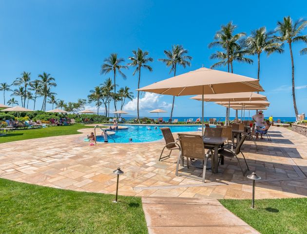 Palm-lined resort poolside with sun loungers, umbrellas, and a clear blue sea&mdash;perfect tropical getaway.