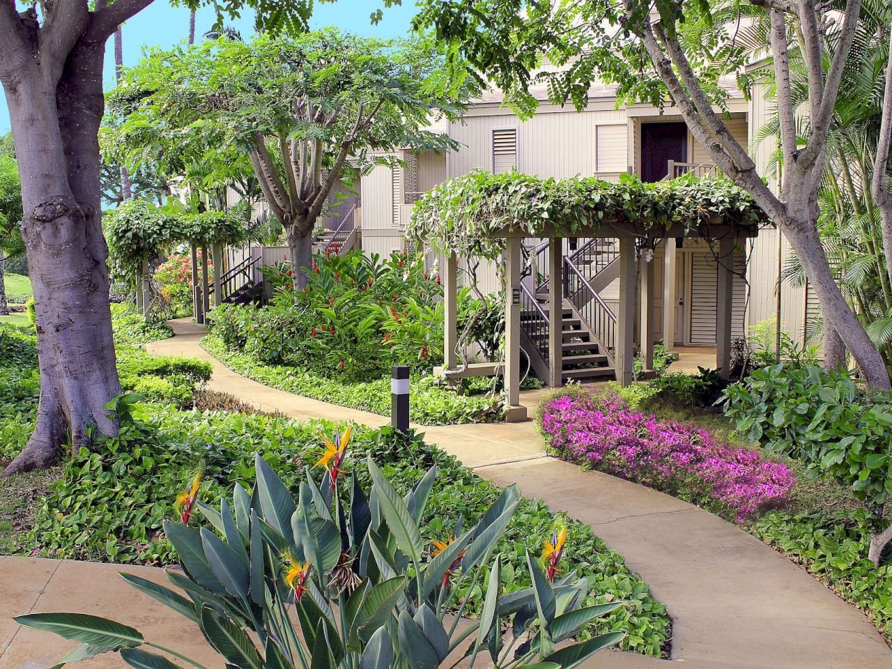 Coraltree Residence Collection