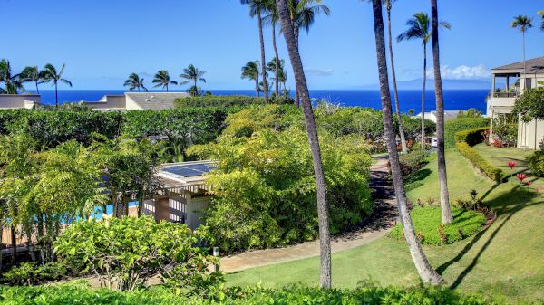Coraltree Residence Collection