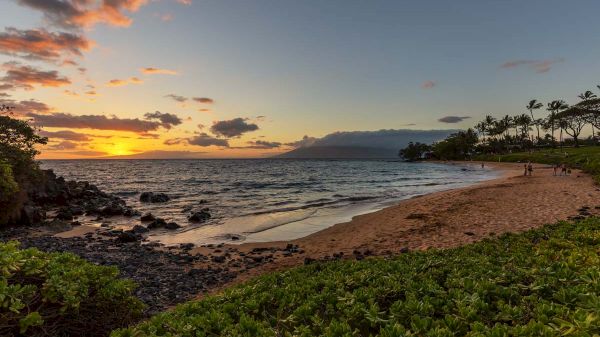 A scenic beach at sunset with a rocky shore, palm trees, and lush greenery, capturing a serene and picturesque coastal view.