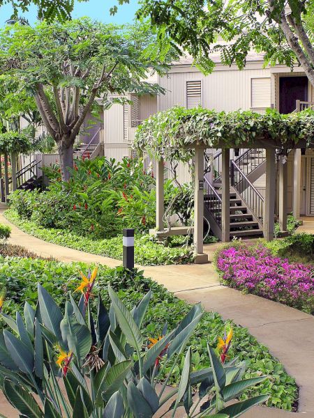 Coraltree Residence Collection