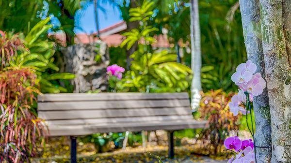 Coraltree Residence Collection