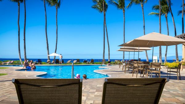 A poolside scene with lounge chairs, umbrellas, people relaxing, and tall palm trees on a sunny day with a view of the ocean in the background.