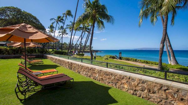 A scenic coastal view with lounge chairs, umbrellas, palm trees, and a vivid blue ocean under a clear sky in a tropical setting.