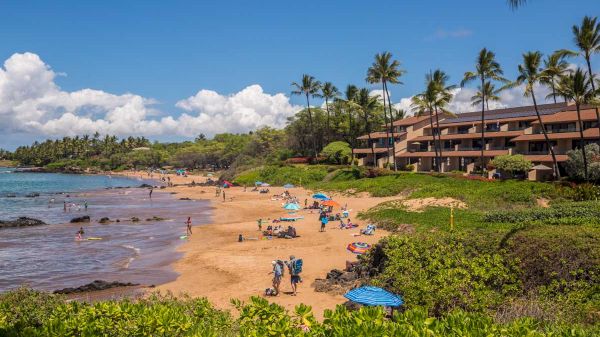 A scenic beach with people enjoying the sand and sea, surrounded by lush greenery and adjacent to a row of buildings under palm trees.