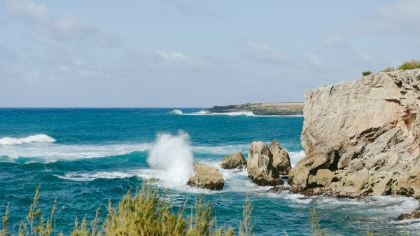 A rocky coastline with waves crashing against the cliffs under a clear blue sky, with greenery in the foreground.