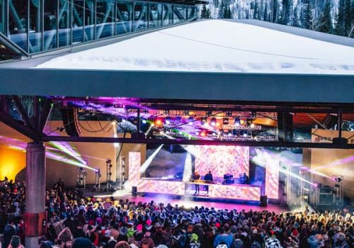A lively outdoor concert with a large crowd, vibrant stage lights, and a snowy mountain backdrop, under a modern pavilion.