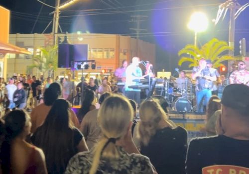 A crowd watches a live outdoor music performance at night, with string lights above, creating a lively atmosphere.