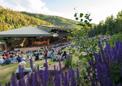 An outdoor concert in a scenic, mountainous area with purple flowers in the foreground and people seated on grass.