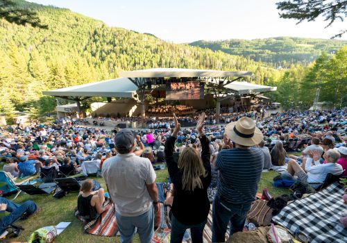 The image shows an outdoor concert in a scenic, forested area with a large audience seated on the grass, enjoying the performance.