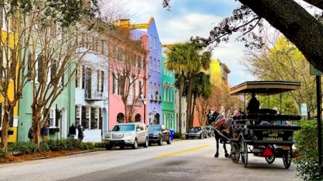 A street scene with colorful houses, parked cars, and a horse-drawn carriage under trees, creating a picturesque and lively atmosphere.