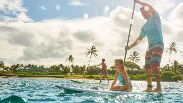 People are paddleboarding on a sunny day, with a child sitting on one board and palm trees in the background.