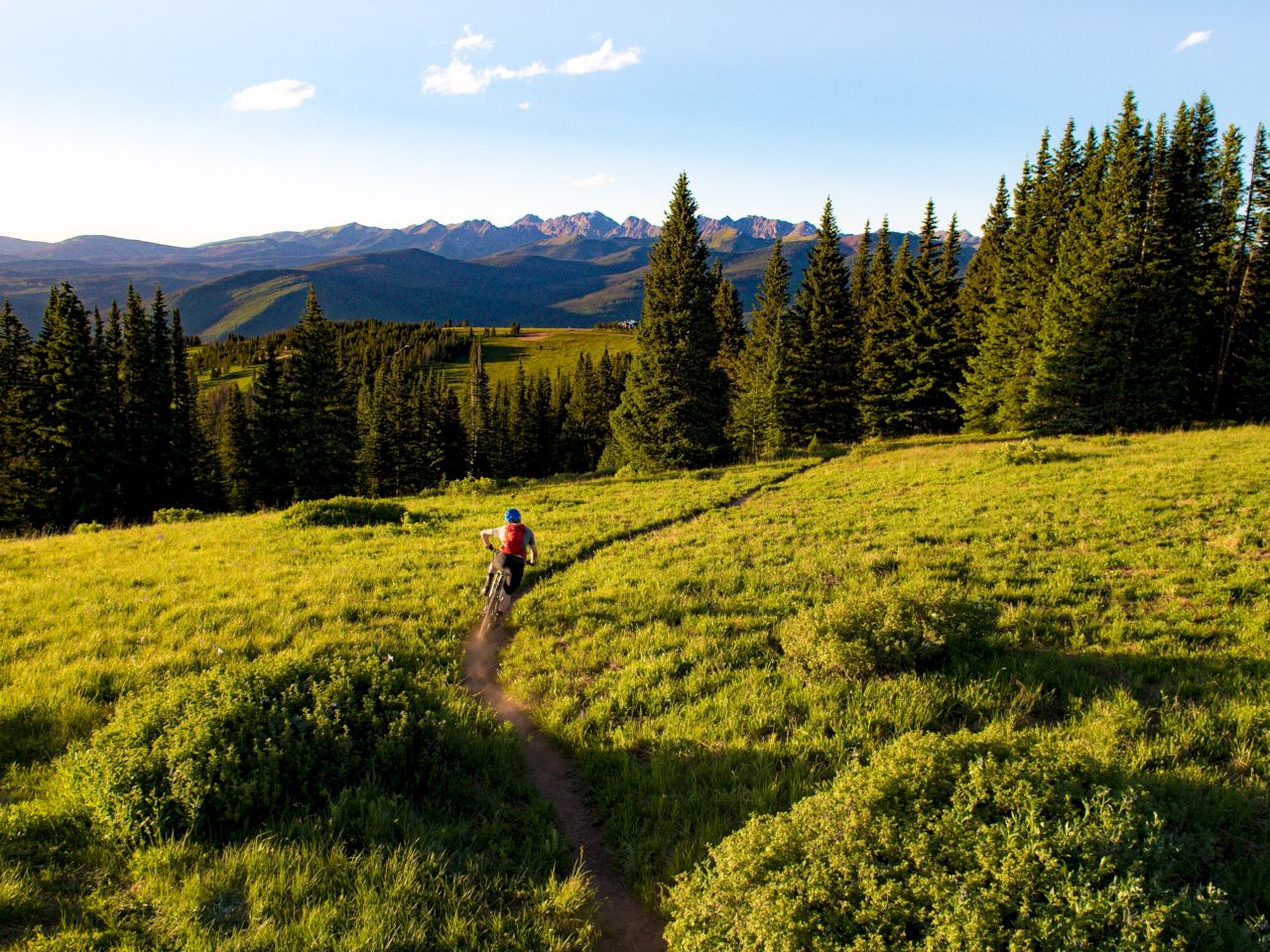 A person is biking on a trail through a green landscape with pine trees and mountains in the background under a blue sky.