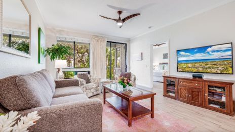 A cozy living room with a sofa, armchair, coffee table, TV, and large windows. There’s a ceiling fan and potted plants adding decor.