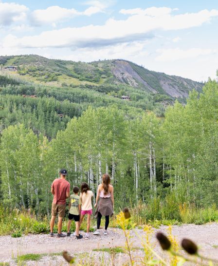 A group of people stands on a trail, surrounded by lush green trees and mountains under a partly cloudy sky, enjoying the scenic view.