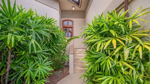 Coraltree Residence Collection