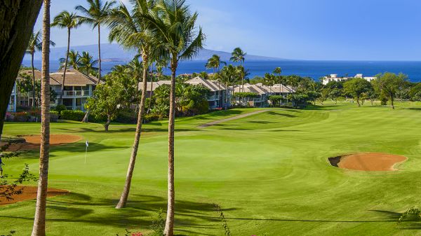 A scenic golf course with palm trees, manicured greens, and nearby villas, overlooking the ocean under a clear blue sky.