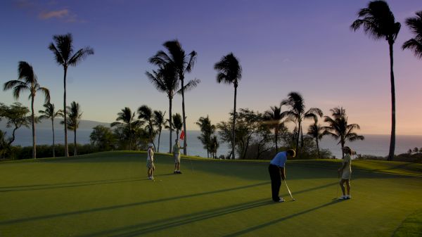 People are playing golf on a course at sunset, surrounded by palm trees and a view of the ocean.