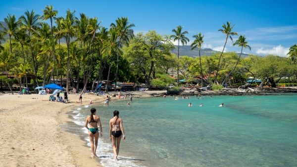 Coraltree Residence Collection