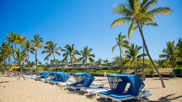 Coraltree Residence Collection