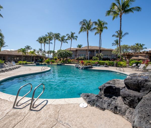A tranquil pool surrounded by palm trees, lounge chairs, and vibrant greenery under a clear blue sky creates a serene atmosphere.