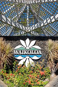 Coraltree Residence Collection