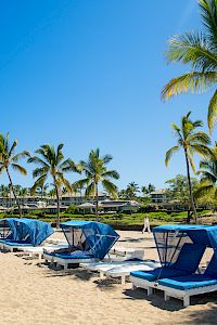 Coraltree Residence Collection