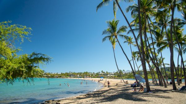 The image features a sunny beach scene with palm trees, clear water, and people enjoying their time on the sandy shore.