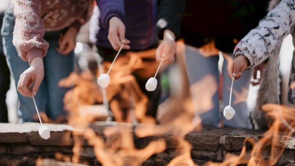 The image shows people roasting marshmallows over a fire, capturing a cozy and fun outdoor activity.