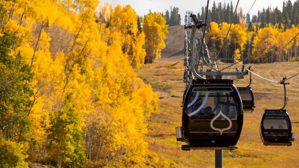 The image features a gondola lift in a picturesque landscape filled with vibrant autumn foliage. It's a beautiful fall scene.