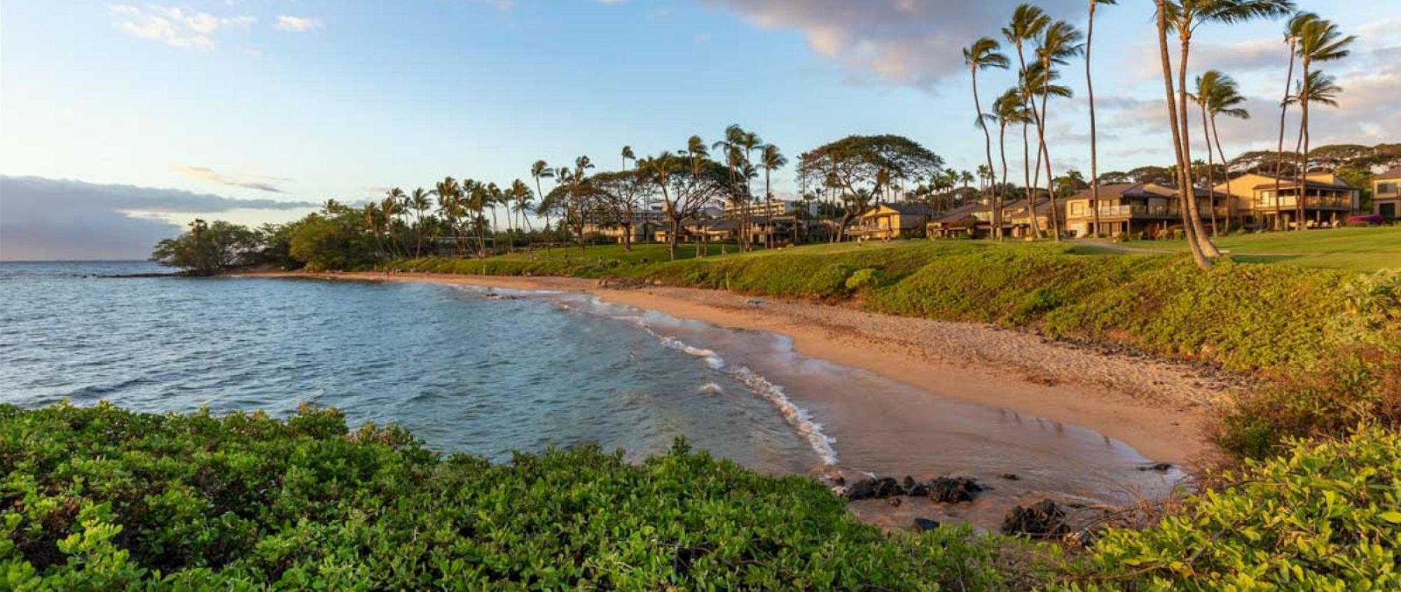 The image shows a serene beach with gentle waves, palm trees, and coastal homes bathed in warm sunlight. It looks tranquil and inviting.