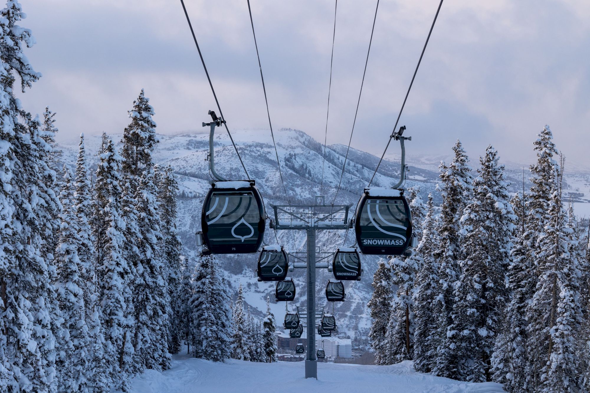 The image shows a ski resort gondola lift amidst snowy trees and mountains, reflecting a serene winter landscape.