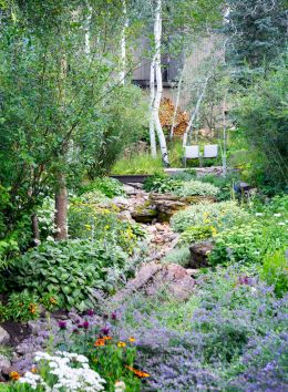 The image depicts a lush garden with various plants, flowers, and a small rocky stream, creating a serene natural environment.
