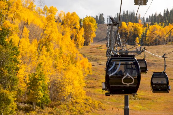 The image shows gondolas on a cable car system surrounded by vibrant yellow autumn foliage and a scenic hillside.
