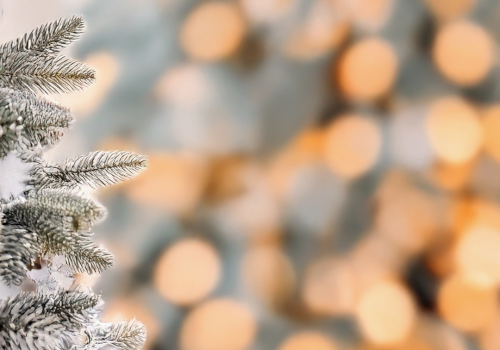 Snowy pine branches in the foreground with warm, blurry holiday lights in the background.