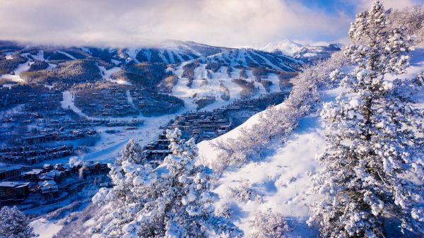 Snowy mountain landscape with pine trees covered in frost, blue sky, and rolling slopes in sunlight. Winter wonderland scene.
