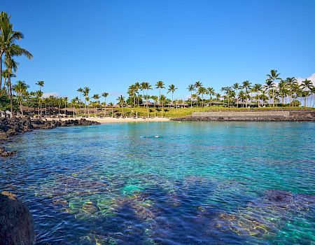 Tropical shoreline with crystal-clear turquoise water, rocky foreground, and a palm-lined beach under a bright blue sky, inviting and serene.