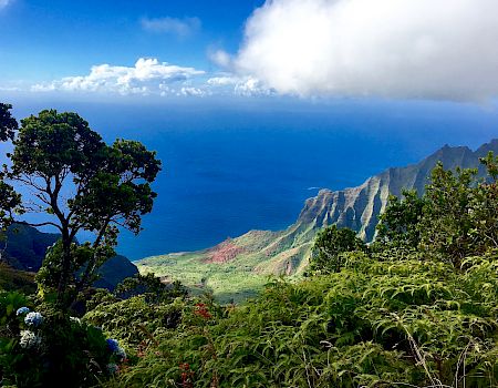 Coraltree Residence Collection