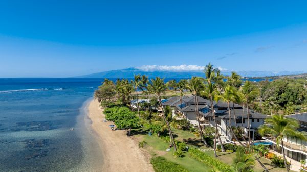 A tropical beachfront with a sandy strip, clear blue water, palm trees, and row of thatched-roof huts along the shore, under a bright sky.